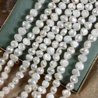 Přírodní sladkovodní perly perlí, Sladkovodní Pearl, DIY, bílý, 9-10mm, Prodáno za Cca 40 cm Strand