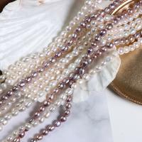 Přírodní sladkovodní perly perlí, Sladkovodní Pearl, DIY, více barev na výběr, 5mm, Prodáno za Cca 36 cm Strand