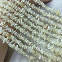 Natürliche Süßwasser Muschel Perlen, poliert, Folk-Stil & DIY, 4mm, verkauft per ca. 38-40 cm Strang
