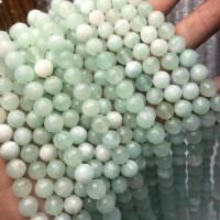 Perles opales de mer, Opale verte, poli, style folk & DIY, 8mm, Vendu par Environ 38-40 cm brin