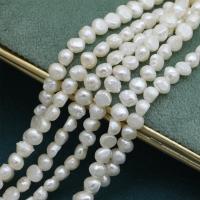 Cultured Baroque Freshwater Pearl Beads DIY white 5-5.5mm Sold Per Approx 39 cm Strand