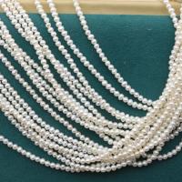 Cultured Baroque Freshwater Pearl Beads DIY white 2.5-3mm Sold Per Approx 36 cm Strand