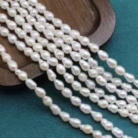 Cultured Baroque Freshwater Pearl Beads DIY white 5-6mm Sold Per Approx 38 cm Strand