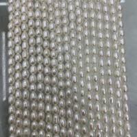 Přírodní sladkovodní perly perlí, Sladkovodní Pearl, DIY, bílý, 5-6mm, Prodáno za Cca 37 cm Strand