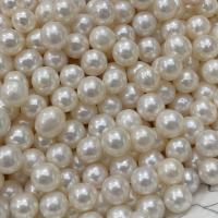 Přírodní sladkovodní perly perlí, Sladkovodní Pearl, DIY & bez otvoru, bílý, 8-9mm, Prodáno By PC