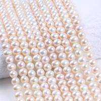 Brambor pěstované sladkovodní perle, Sladkovodní Pearl, DIY, bílý, 6.5-7mm, Prodáno za Cca 36-38 cm Strand
