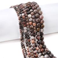 Gemstone Jewelry Beads Petrified Wood Palm Stone Round DIY Approx 1mm Sold Per Approx 38 cm Strand