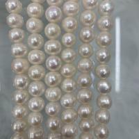 Přírodní sladkovodní perly perlí, Sladkovodní Pearl, DIY, bílý, 8-9mm, Prodáno za Cca 37 cm Strand