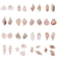 Shell Pendants with Zinc Alloy gold color plated DIY Sold By Bag