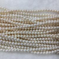 Bulvių išauginti gėlavandenių perlų karoliukai, Gėlo vandens perlų, Bulvė, Pasidaryk pats, baltas, 6-7mm, Parduota už Apytiksliai 37 cm Strand