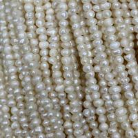 Brambor pěstované sladkovodní perle, Sladkovodní Pearl, DIY & různé velikosti pro výběr, bílý, Prodáno za Cca 37 cm Strand