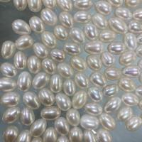 Natural Freshwater Pearl Loose Beads Teardrop DIY & half-drilled white Sold By PC