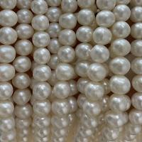 Bulvių išauginti gėlavandenių perlų karoliukai, Gėlo vandens perlų, Bulvė, Pasidaryk pats, baltas, 7mm, Parduota už Apytiksliai 40 cm Strand