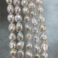 Perla Barroca Freshwater, Perlas cultivadas de agua dulce, Barroco, Bricolaje & diverso tamaño para la opción, Blanco, Vendido para aproximado 37 cm Sarta