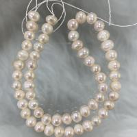 Brambor pěstované sladkovodní perle, Sladkovodní Pearl, DIY, bílý, 6-7mm, Prodáno za Cca 37 cm Strand