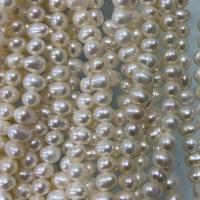 Patate coltivate in acqua dolce Perla, perla d'acquadolce coltivata naturalmente, Patata, DIY, bianco, 4-5mm, Venduto per Appross. 37 cm filo