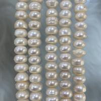 Přírodní sladkovodní perly perlí, Sladkovodní Pearl, Flat Round, DIY, bílý, 8-9mm, Prodáno za Cca 37 cm Strand