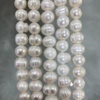 Bulvių išauginti gėlavandenių perlų karoliukai, Gėlo vandens perlų, Bulvė, Pasidaryk pats, baltas, 9-10mm, Parduota už Apytiksliai 37 cm Strand