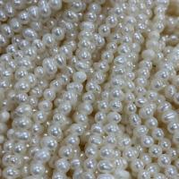 Brambor pěstované sladkovodní perle, Sladkovodní Pearl, DIY, bílý, 3-3.5mm, Prodáno za Cca 37 cm Strand