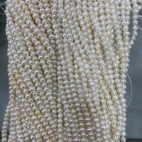 Bulvių išauginti gėlavandenių perlų karoliukai, Gėlo vandens perlų, Bulvė, Pasidaryk pats, baltas, 4-5mm, Parduota už Apytiksliai 37 cm Strand
