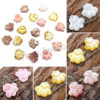 Shell Pendants Bear Paw DIY 12mm Sold By PC