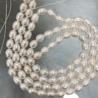 Cultured Rice Freshwater Pearl Beads DIY white 7-8mm Sold Per Approx 37 cm Strand
