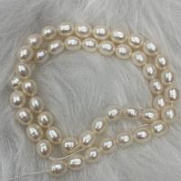 Perlas Arroz Freshwater, Perlas cultivadas de agua dulce, Bricolaje, Blanco, 6-7mm, Vendido para aproximado 37 cm Sarta