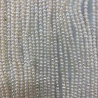 Přírodní sladkovodní perly perlí, Sladkovodní Pearl, Mírně kulaté, DIY, bílý, 2-3mm, Prodáno za Cca 37 cm Strand