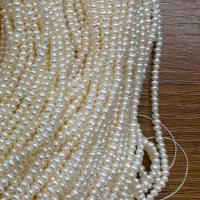 Bulvių išauginti gėlavandenių perlų karoliukai, Gėlo vandens perlų, Bulvė, Pasidaryk pats, baltas, 2-3mm, Parduota už Apytiksliai 37 cm Strand