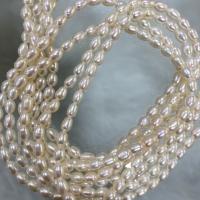 Cultured Rice Freshwater Pearl Beads DIY white 3-4mm Sold Per Approx 37 cm Strand