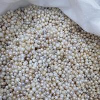 Cultured No Hole Freshwater Pearl Beads, Flat Round, DIY, mixed colors, 9-10mm, 500G/Lot, Sold By Lot