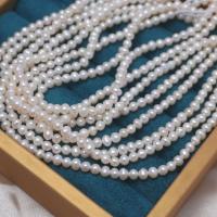 Přírodní sladkovodní perly perlí, Sladkovodní Pearl, Mírně kulaté, DIY, bílý, 3.5-4mm, Prodáno za Cca 40 cm Strand