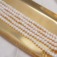 Brambor pěstované sladkovodní perle, Sladkovodní Pearl, DIY, bílý, 4.5-5mm, Otvor:Cca 0.7mm, Prodáno za Cca 36 cm Strand