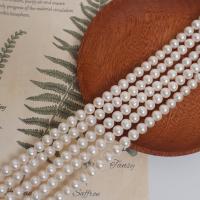 Přírodní sladkovodní perly perlí, Sladkovodní Pearl, Mírně kulaté, DIY, bílý, 7-8mm, Prodáno za Cca 37 cm Strand