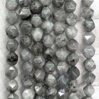 Labradorit Korálky, DIY & různé velikosti pro výběr & tváří, šedá, Prodáno za Cca 38 cm Strand