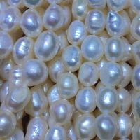 Keishi Tenyésztett édesvízi gyöngy Gyöngyök, Édesvízi gyöngy, DIY & különböző méretű a választás, fehér, Naponta eladott Kb 36 cm Strand