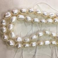 Keishi ferskvandskulturperle Beads, Ferskvandsperle, du kan DIY & forskellig størrelse for valg, hvid, Solgt Per Ca. 37 cm Strand
