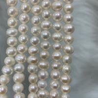 Přírodní sladkovodní perly perlí, Sladkovodní Pearl, Mírně kulaté, DIY, bílý, 6-7mm, Prodáno za Cca 37 cm Strand