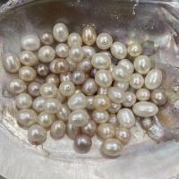 Cultured Rice Freshwater Pearl Beads DIY 9-10mm Sold By PC