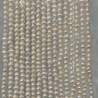 Přírodní sladkovodní perly perlí, Sladkovodní Pearl, Mírně kulaté, DIY, bílý, 3-4mm, Prodáno za Cca 37 cm Strand