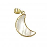 Shell Pendants with Brass Moon gold color plated DIY Sold By PC