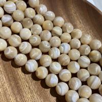 Natural Seashell Beads Trochus Round DIY Sold Per Approx 39 cm Strand