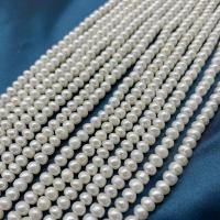 Přírodní sladkovodní perly perlí, Sladkovodní Pearl, Flat Round, DIY, bílý, 4-5mm, Prodáno za Cca 37 cm Strand