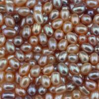 Cultured No Hole Freshwater Pearl Beads Rice DIY Sold By Lot
