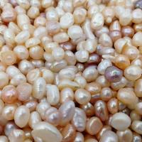 Cultured No Hole Freshwater Pearl Beads, irregular, DIY, mixed colors, 7-8mm, 500G/Lot, Sold By Lot