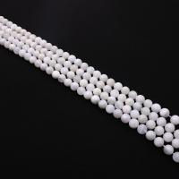 Mjesečev kamen perle, Krug, možete DIY & različite veličine za izbor, bijel, Prodano Per Približno 38 cm Strand
