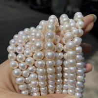 Přírodní sladkovodní perly perlí, Sladkovodní Pearl, Mírně kulaté, DIY, bílý, 7-8mm, Prodáno za Cca 38 cm Strand