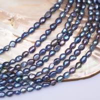 Keishi ferskvandskulturperle Beads, Ferskvandsperle, du kan DIY, sort, 7-8mm, Solgt Per Ca. 35-37 cm Strand
