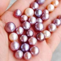 Natural Freshwater Pearl Loose Beads DIY & no hole purple Sold By PC