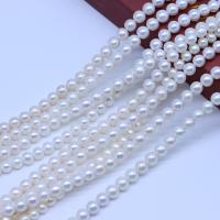 Přírodní sladkovodní perly perlí, Sladkovodní Pearl, Mírně kulaté, DIY, bílý, 8-9mm, Prodáno za Cca 38-40 cm Strand